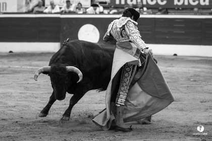 Mont-de-Marsan corrida de Jandilla pour Padilla - Talavante - Roca Rey