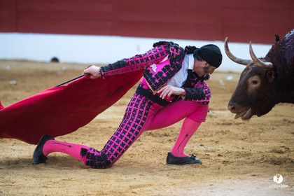 Mont-de-Marsan corrida de Jandilla pour Padilla - Talavante - Roca Rey