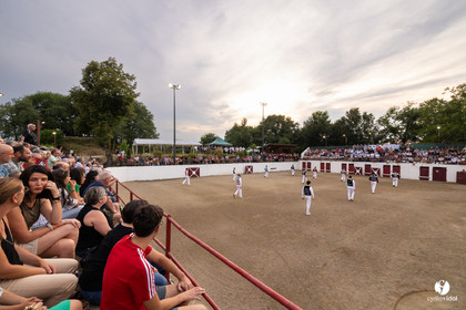 2025-07-11-2141.jpg