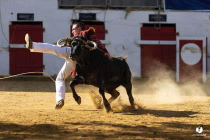 Nogaro Championnat de France de course landaise 2022
