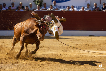 Aire-sur-l'Adour Championnat de France de course landaise 2023