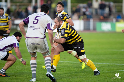 Stade Montois Rugby - Bourg en Bresse