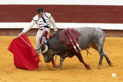 1565.jpg