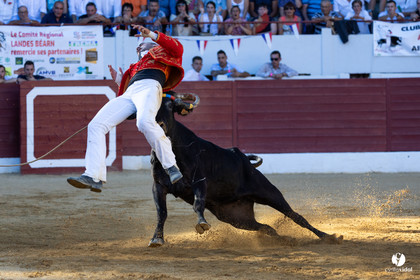Aire-sur-l'Adour Championnat de France de course landaise 2023