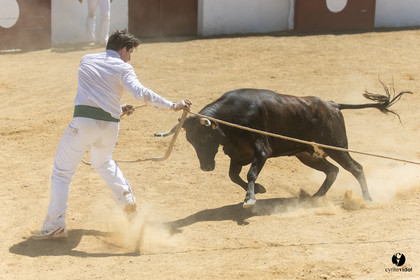 Saint-Cricq Chalosse course landaise de promotion Ganadéria Deyris Cuadrilla Jérémy Lafitte