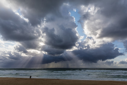 Paysages des Landes