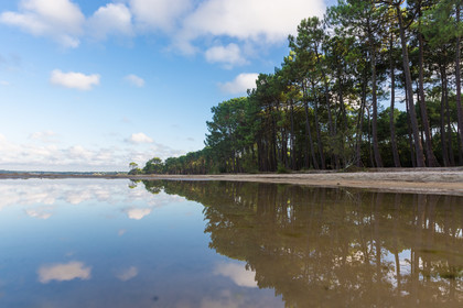 Paysages des Landes