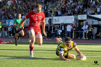2025-04-25-2126.jpg