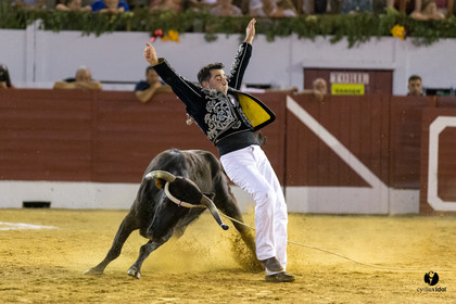 Aire sur l'Adour course landaise génération Aturine