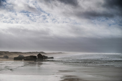 Paysages des Landes