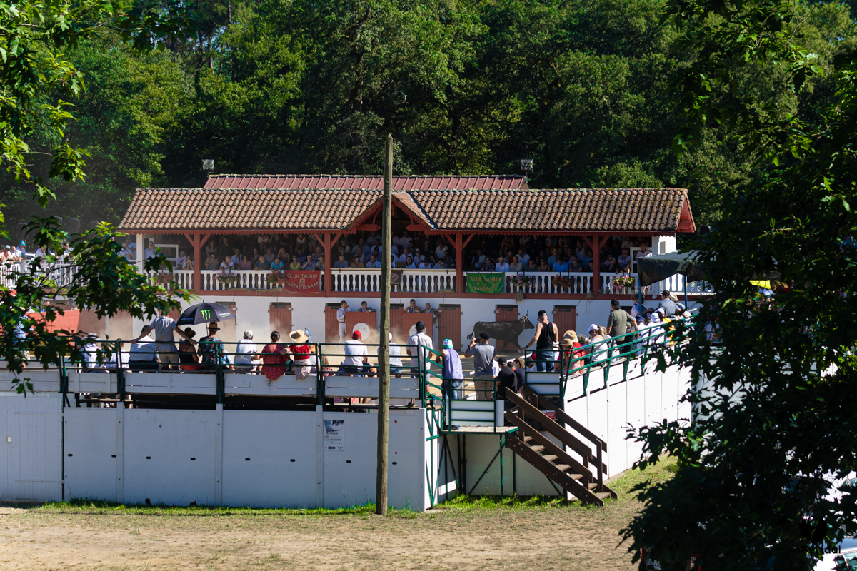 2022-07-10-3699.jpg