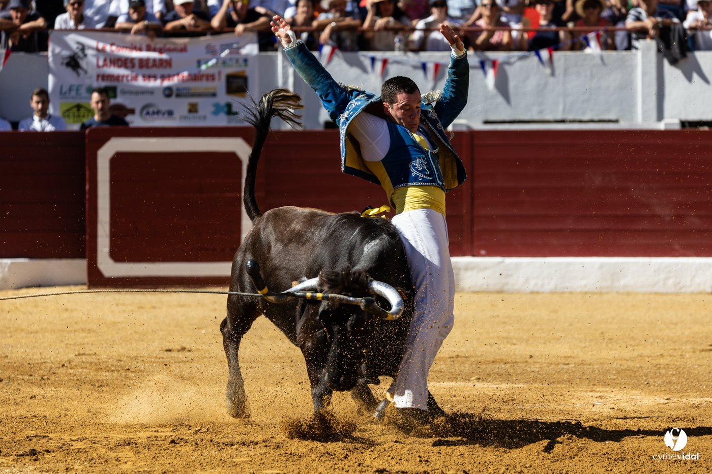 Aire-sur-l'Adour Championnat de France de course landaise 2023 Aire-sur-l'Adour Championnat de France de course landaise 2023