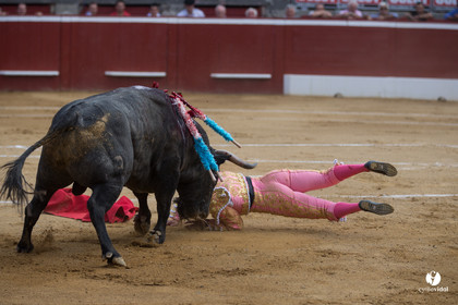 Mont-de-Marsan corrida d'Adolfo Martin