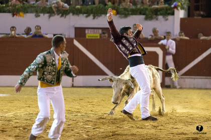 Aire sur l'Adour course landaise génération Aturine