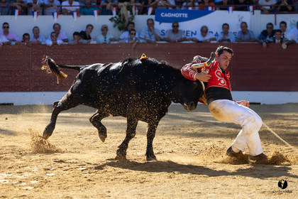 Aire-sur-l'Adour Championnat de France de course landaise 2023