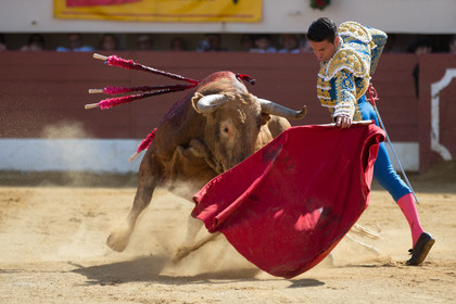 corrida, toro, vic fezensac, alcurrucen, michelito, morenito de aranda