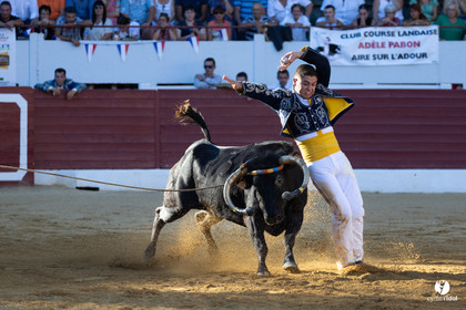 Aire-sur-l'Adour Championnat de France de course landaise 2023