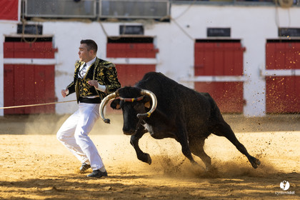 Nogaro Championnat de France de course landaise 2022
