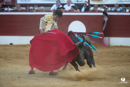 Mont-de-Marsan corrida d'Adolfo Martin