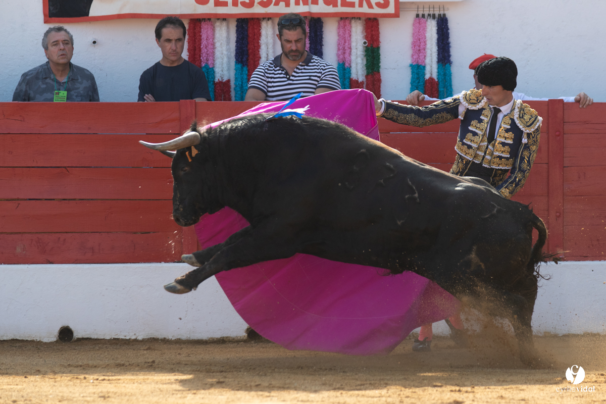 Corrida Aignan