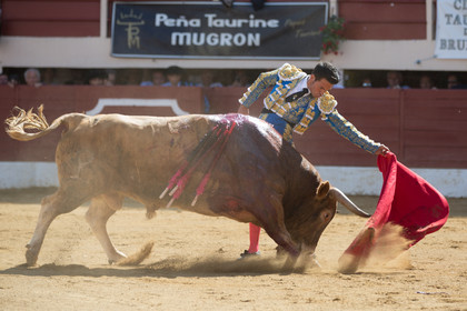corrida, toro, vic fezensac, alcurrucen, michelito, morenito de aranda