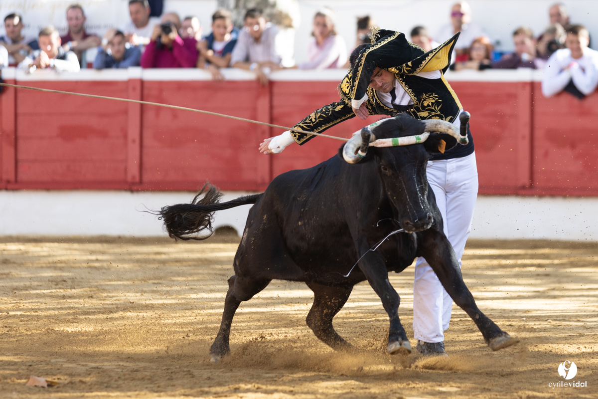 Nogaro Championnat de France de course landaise 2022