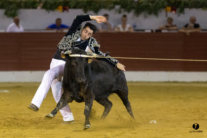 Aire sur l'Adour course landaise génération Aturine