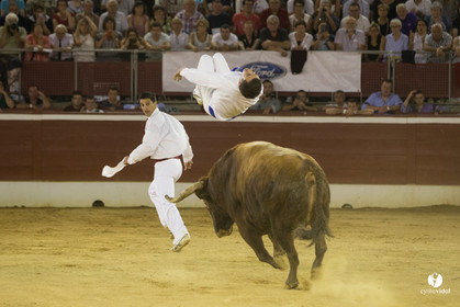 course landaise