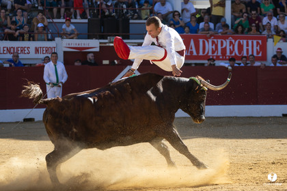 Aire-sur-l'Adour Championnat de France de course landaise 2023