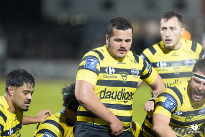 Stade Montois Rugby - Provence