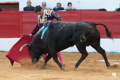 Corrida Aignan