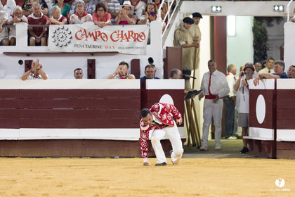 Dax concours landais 2022