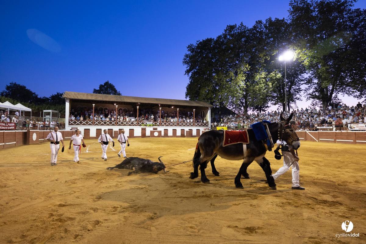 Corrida de Villeneuve-de-Marsan