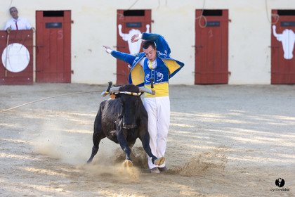 Course landaise
