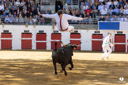 Nogaro Championnat de France de course landaise 2022