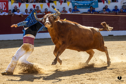 Aire-sur-l'Adour Championnat de France de course landaise 2023