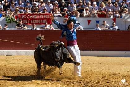 Aire-sur-l'Adour Championnat de France de course landaise 2023