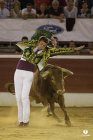 course landaise