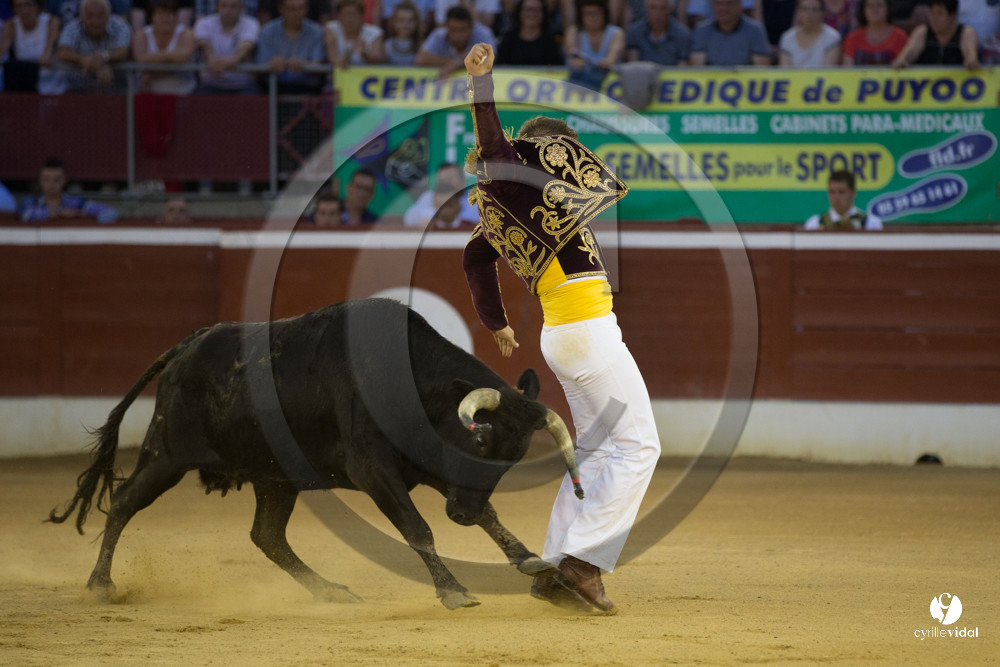 course landaise