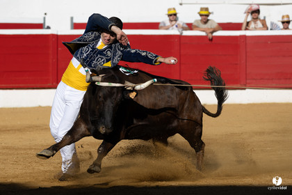 Nogaro Corne d'Or 2023