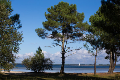 Paysages des Landes
