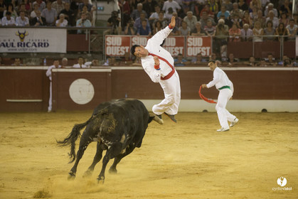 course landaise