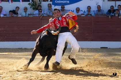 Aire-sur-l'Adour Championnat de France de course landaise 2023