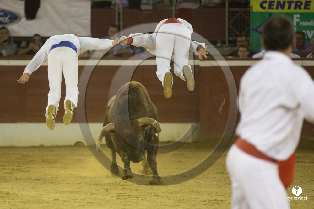 course landaise
