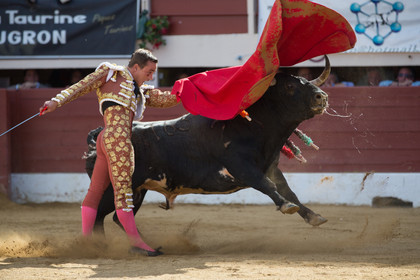 corrida, toro, vic fezensac, alcurrucen, michelito, morenito de aranda