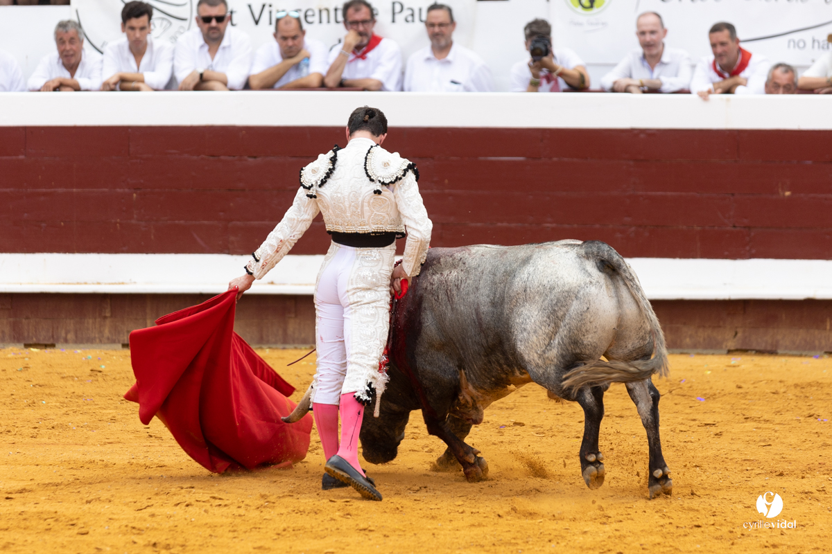 1448.jpg