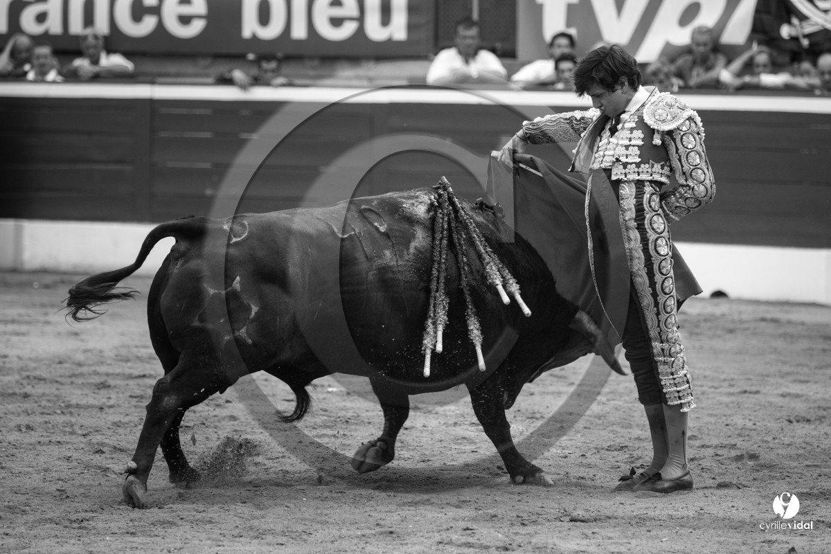 Mont-de-Marsan corrida de Jandilla pour Padilla - Talavante - Roca Rey