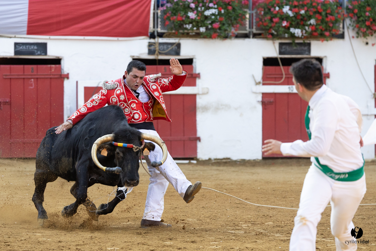 Nogaro Corne d'Or 2023
