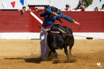 Aire-sur-l'Adour Championnat de France de course landaise 2023