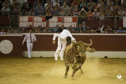 course landaise
